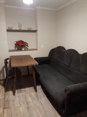 Apartment in the city center